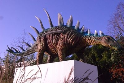 Dinosaur   Kentrosaurus, (Jurassic)