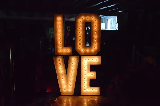 Show Letter ""O"" ,  220v