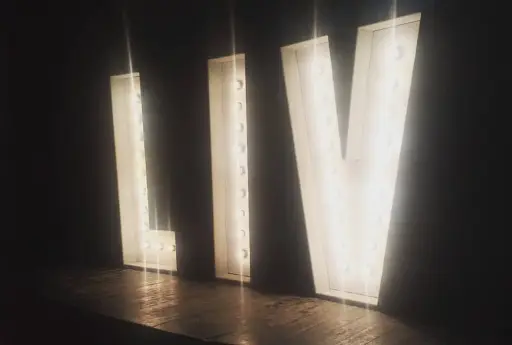 Show Letter "V" ,  220v