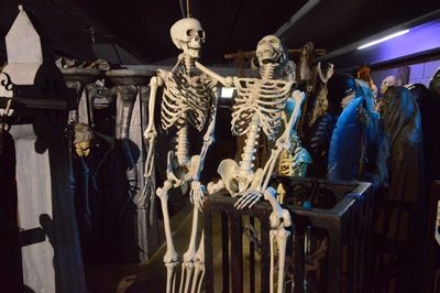 Skeleton  to be hanged up