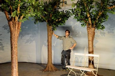 Hornbeam, Foliage-boom, M