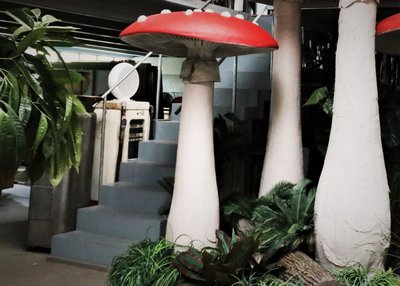 Mushroom, Red with dots, Medium-Large