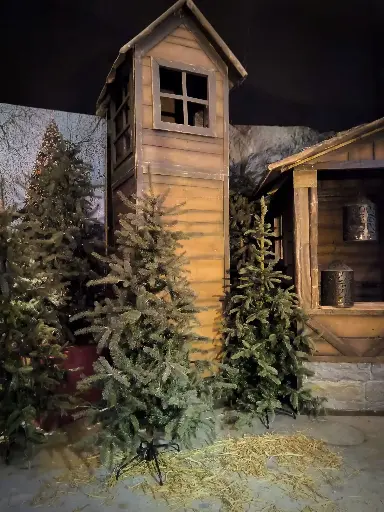 Christmastree    Green   Spruce
