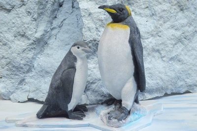 Penguins, two small on a piece of ice