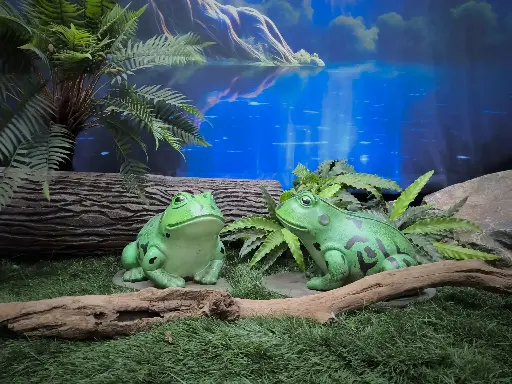 Frog / Toad