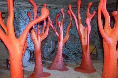 Coral Red Orange