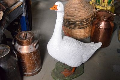 Witte gans in polyester
