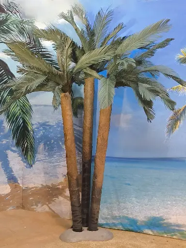 Palmtree   a pc.   photo is 3 pcs. on 1 isle
