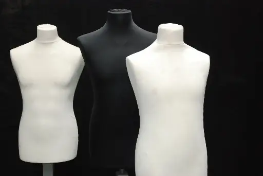 Male Mannequin Torso on standard