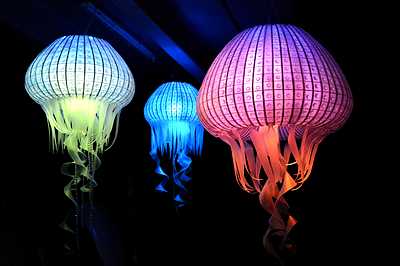 Jellyfish  Large  220v
