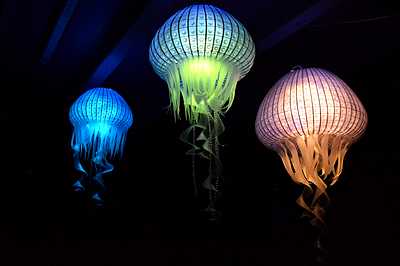 Jellyfish  Medium 220v