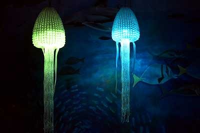 Jellyfish  Small  220v