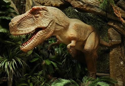 Dinosaur, Animatronics Tyranosaurus Rex, (Cretaceous)
