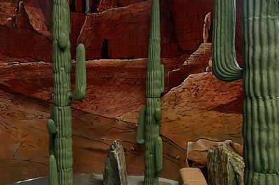 Cactus   Large
