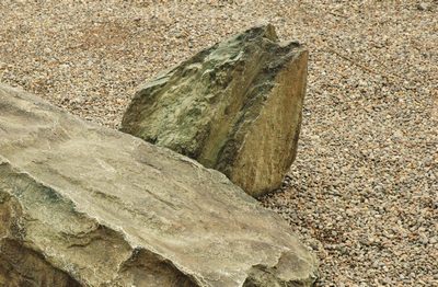 Rock  Sandcoloured  Medium