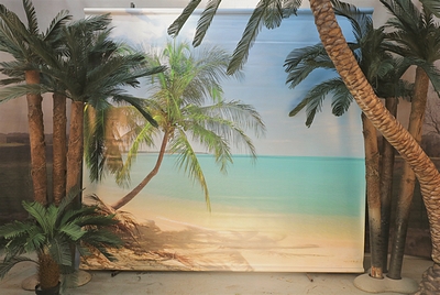 Palmbeach Photoprint on canvas   Left-Side