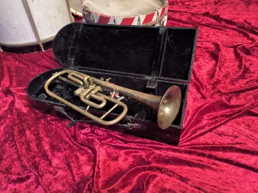Trumpet in case