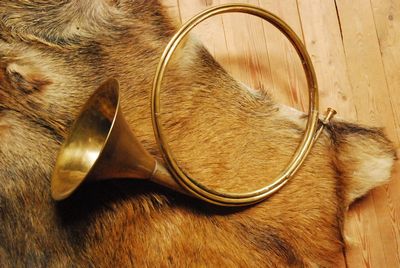 Hunting Horn, Trumpet