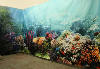 Barrier Reef  on Canvas,  Left-side