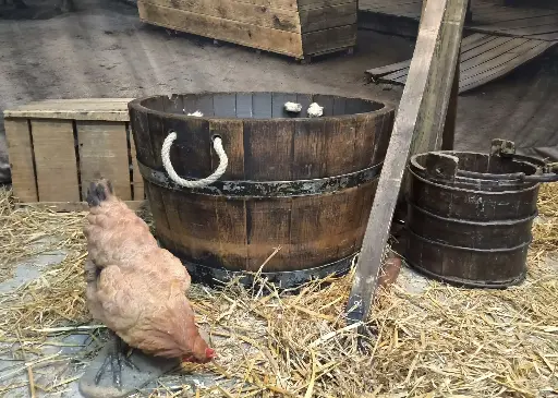 Barrel   half   for Cooler