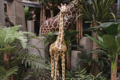 Baby Giraffe life size