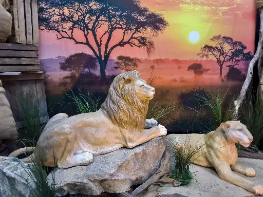 Lion Lying down