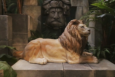 Lion Lying down