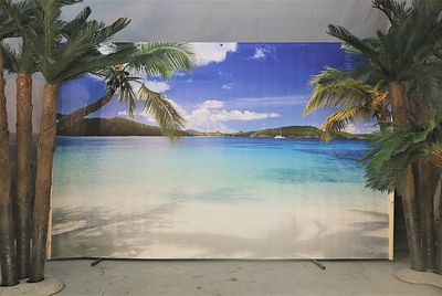 Printed   Screen Palmbeach. M