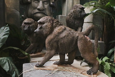 Baboon Walking