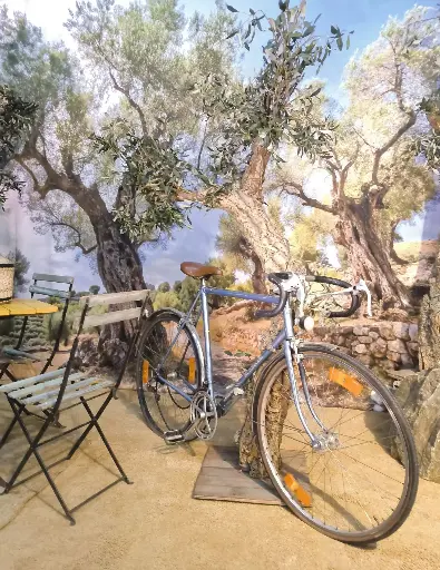 Race Bike  / Old Fashion Bicycle