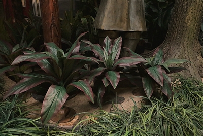 Jungle Leafplant roodsnijdend