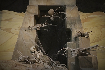 Spider with Skull Face