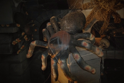 Spider Latex Large