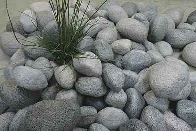 Box with 10 Pebbles/Stones L