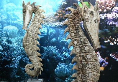 SeaHorse  Wood XXL