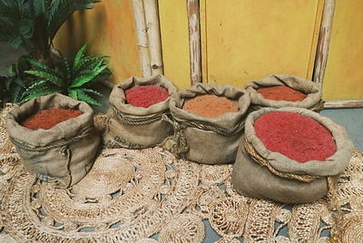 Sac filled with Spices