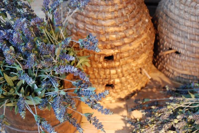 Beehive