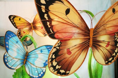 Butterfly  Orange/Blue  Large a pc.