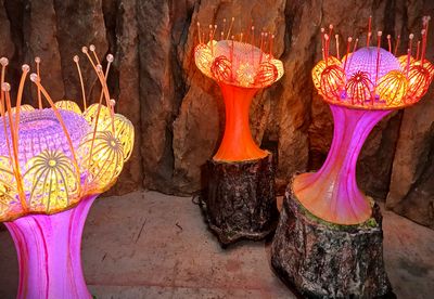 Anemone  with Lights   220V