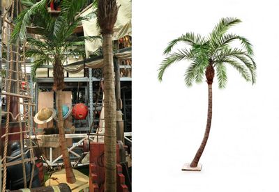 Palmtree Phoenix L Curved
