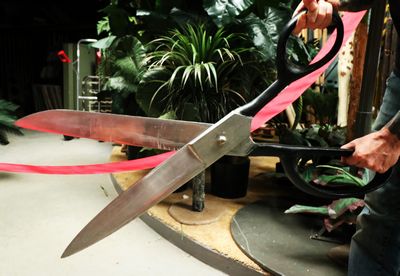 Ceremonial  Scissors  XXL