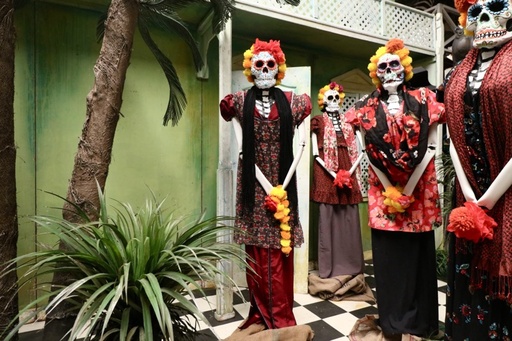 Dia de los Muertos/Catrina Figure