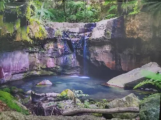Backdrop  Jungle with Waterfall