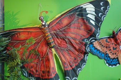 Butterfly Kite Big