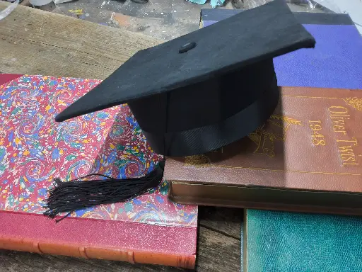 sale Professor hat