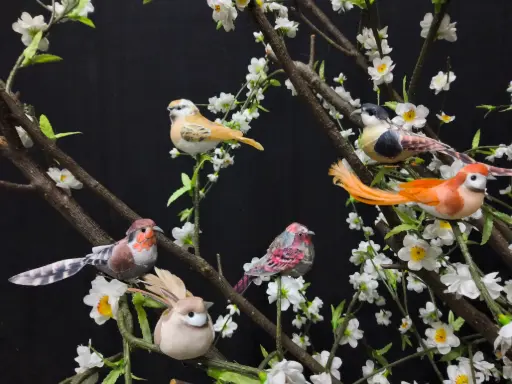 sale 4 Birds on a Clip, Orange, Pink, Brown or Red