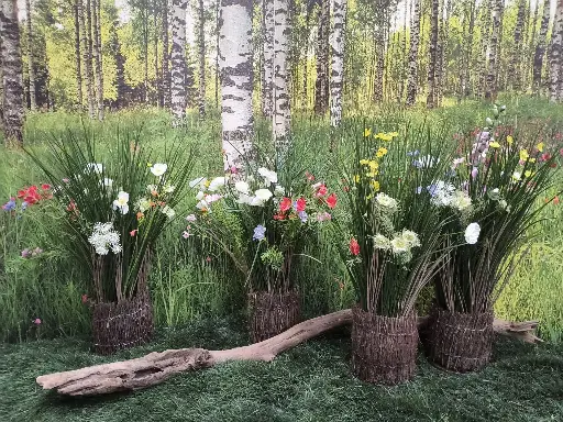 Wildflowers in  the  Grass