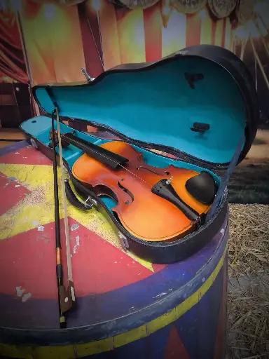 Violin and Bow  in  Case