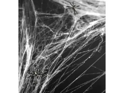spiderweb Profesional