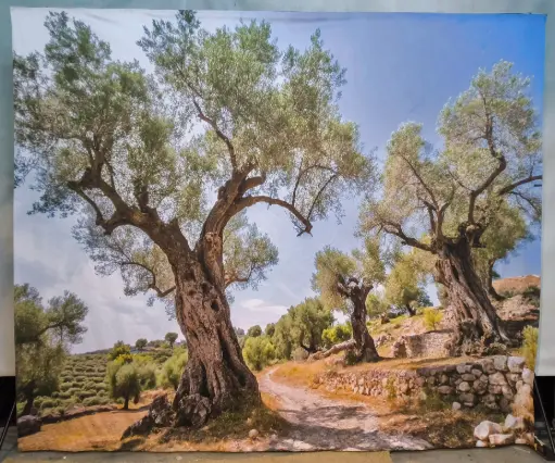 Backdrop   Olive Yard